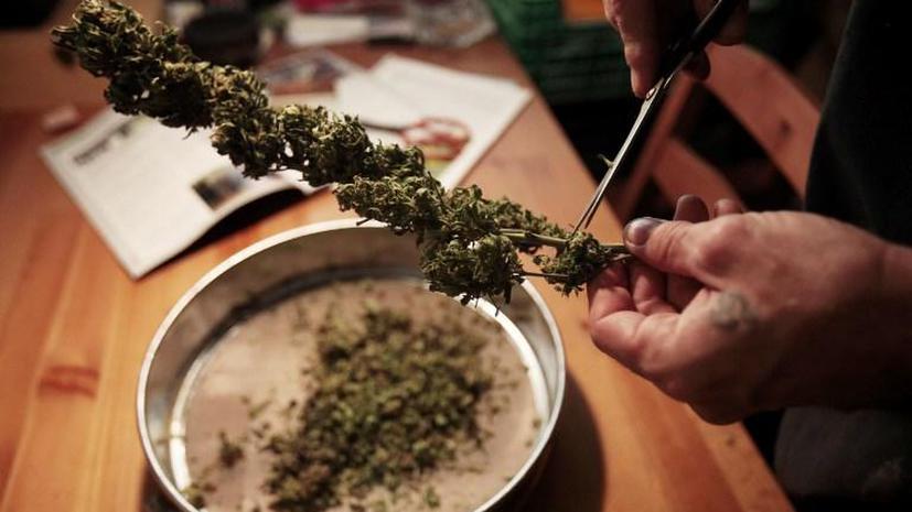 Таблетки из марихуаны в россии семена конопляные как употреблять