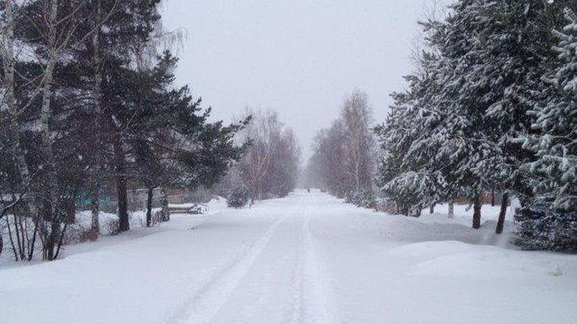 Второй день весны: на Москву обрушилась метель