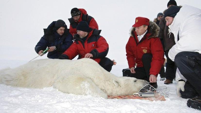 Любовь к белым медведям объединила Россию и США