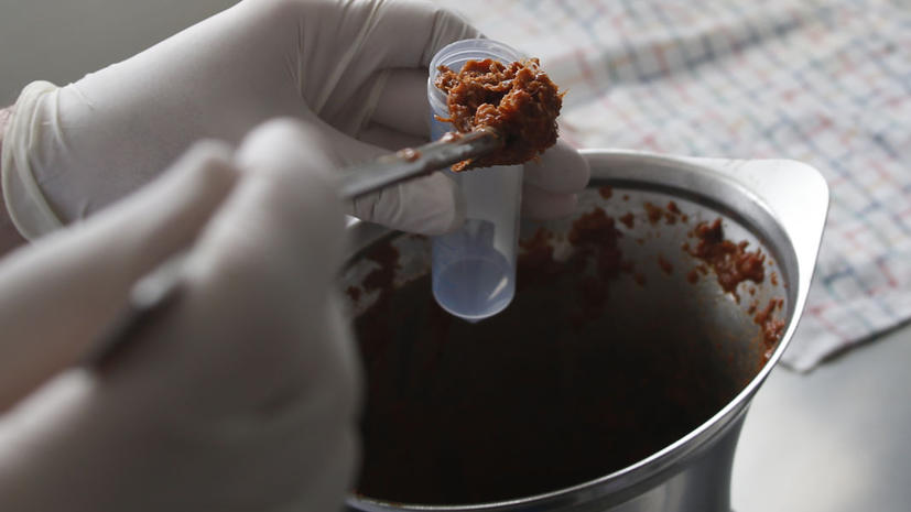 Исландские пироги с говядиной вообще не содержат мяса, показали тесты