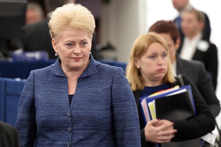 Президент Литвы: Россия пользуется слабостью Европы и усиливает влияние