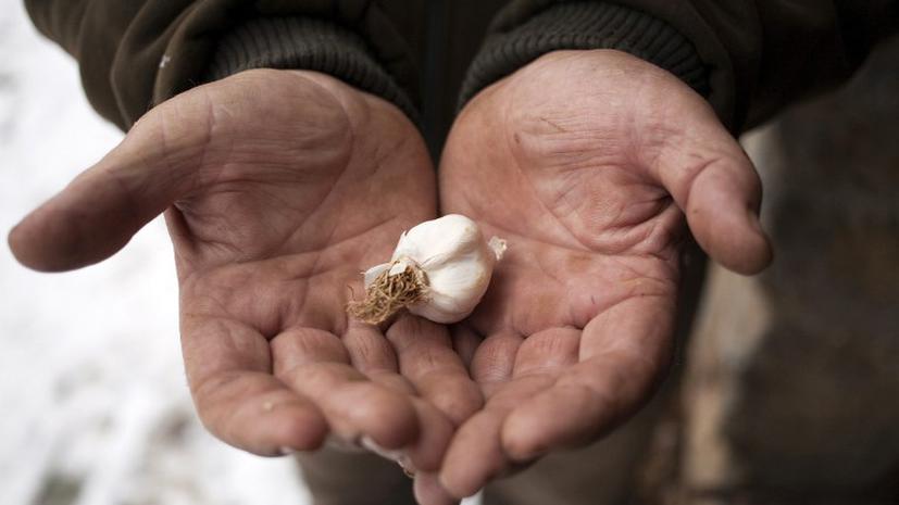 Британца осудили на шесть лет за незаконный импорт чеснока