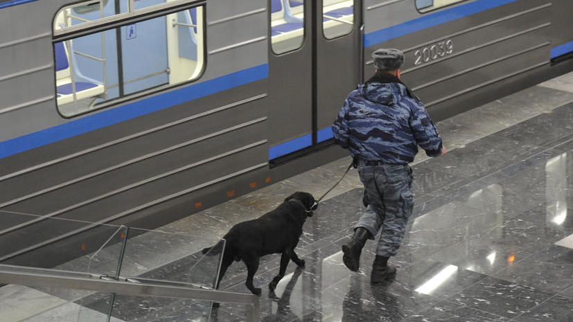 Выходцы с Кавказа и петербуржцы устроили драку на станции метро «Парк Победы»