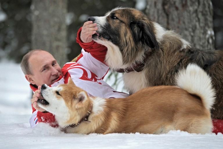 Японский губернатор рад, что Путин ухаживает за подаренным щенком