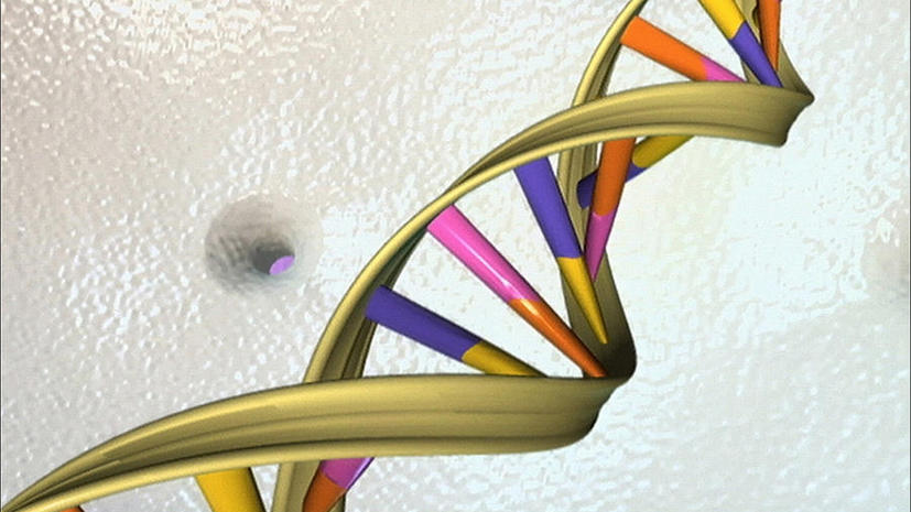 Исследование: Важная информация содержится только в 8% ДНК человека