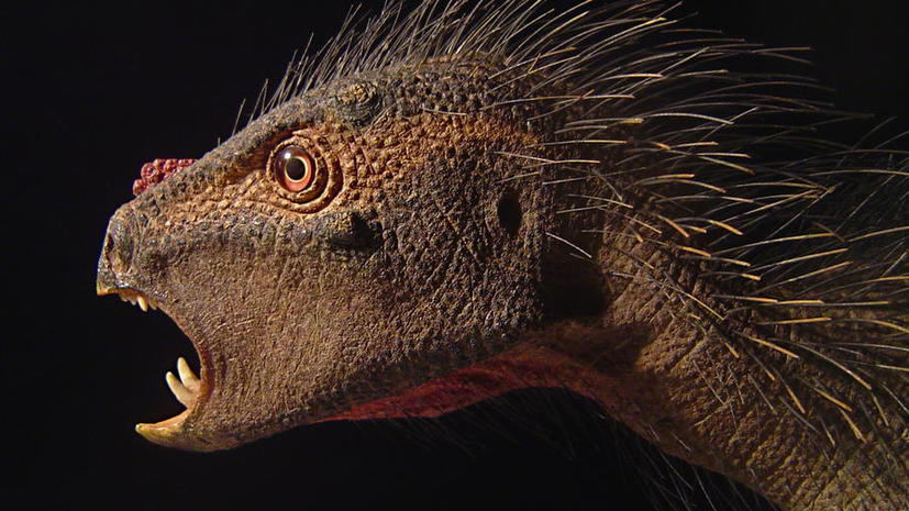 В Китае обнаружили первого динозавра с больными зубами